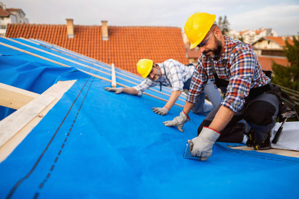 Quick and Trustworthy Emergency Roof Repair Services in Grand Bay, AL